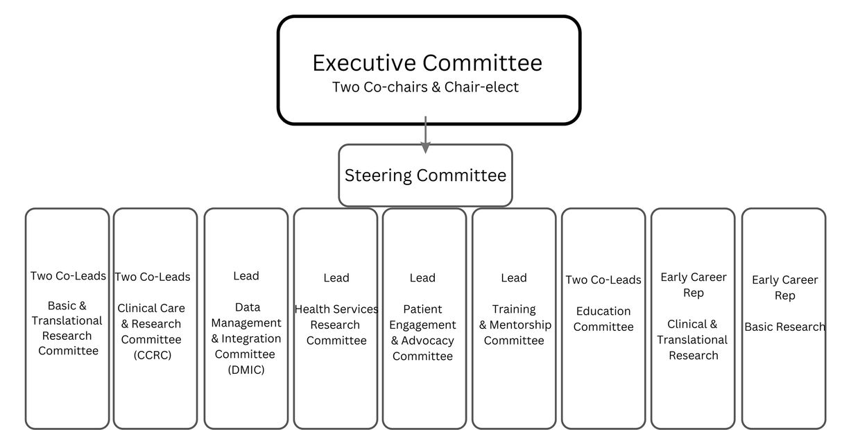 Committees 